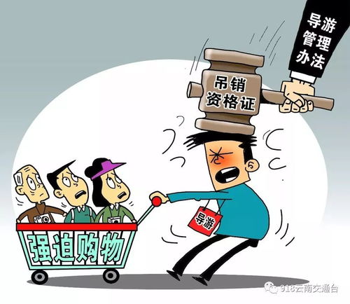 数字文创服务新规今起实施，车主必读 五大要点全解析